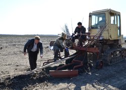 Закладання нового саду в Уманському НУС